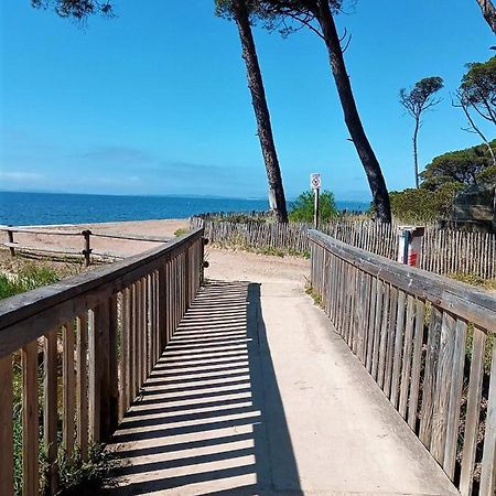 Le Jardin De La Plage - Linges Inclus 拉隆德莱丝莫里斯 外观 照片